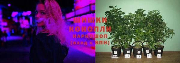 ПСИЛОЦИБИНОВЫЕ ГРИБЫ Белокуриха