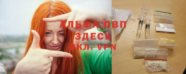 ПСИЛОЦИБИНОВЫЕ ГРИБЫ Белокуриха