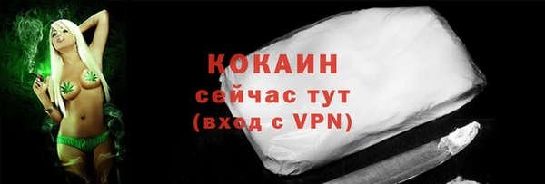 ПСИЛОЦИБИНОВЫЕ ГРИБЫ Белокуриха