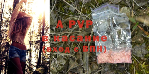 ПСИЛОЦИБИНОВЫЕ ГРИБЫ Белокуриха
