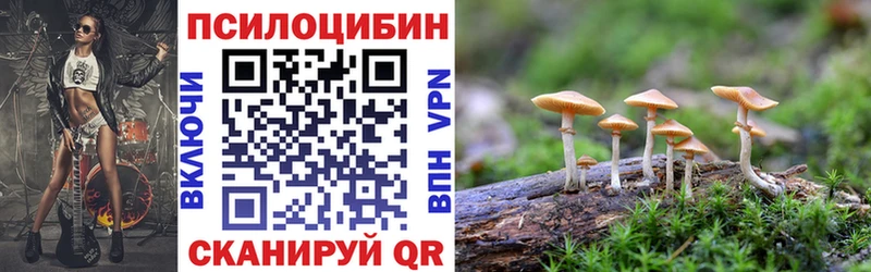 Псилоцибиновые грибы Psilocybine cubensis  Нахабино 